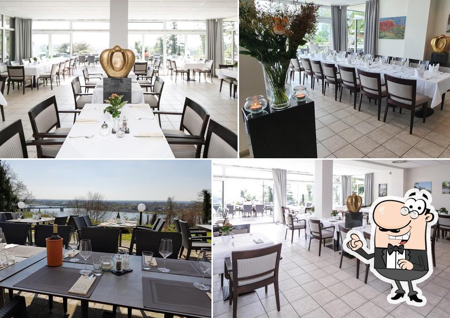 Restaurant Elbterrasse Lauenburg