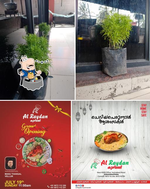 Meals at Al Raydan