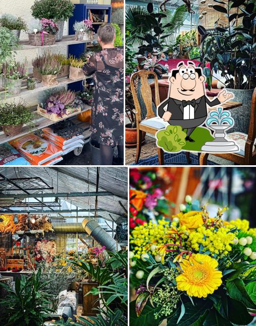 Guarda gli esterni di Blumen zum Glück Männedorf (Hauptstandort Uerikon)