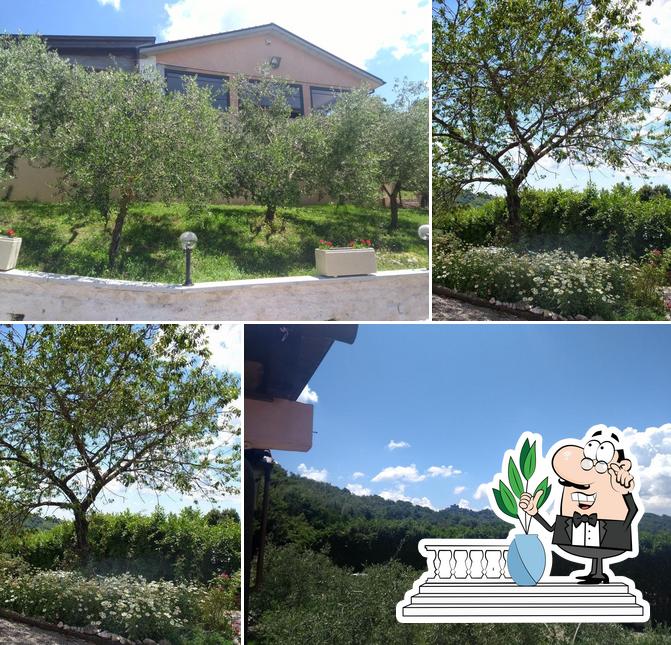 Agriturismo Colle Roscio