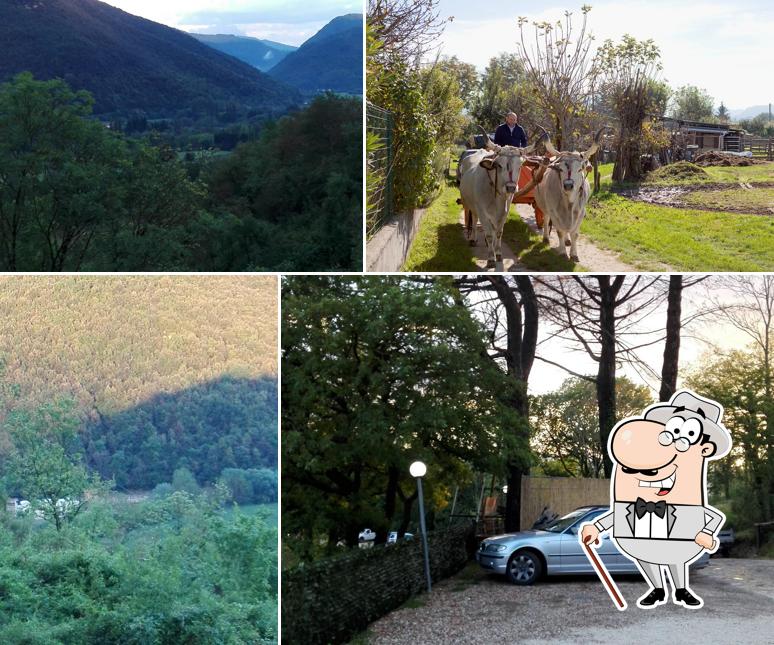 Trattoria Pizzeria Lo Scoiattolo