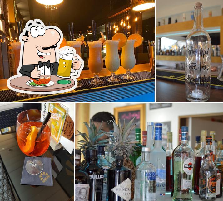 The Sunshine Lounge & Café Bar