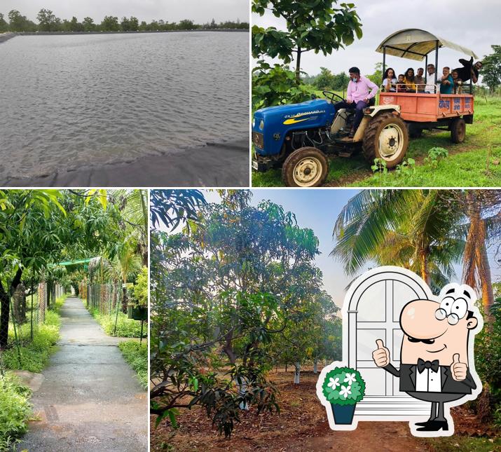 Food Plaza, Dirghayu Farms Agri Resort Pvt Ltd