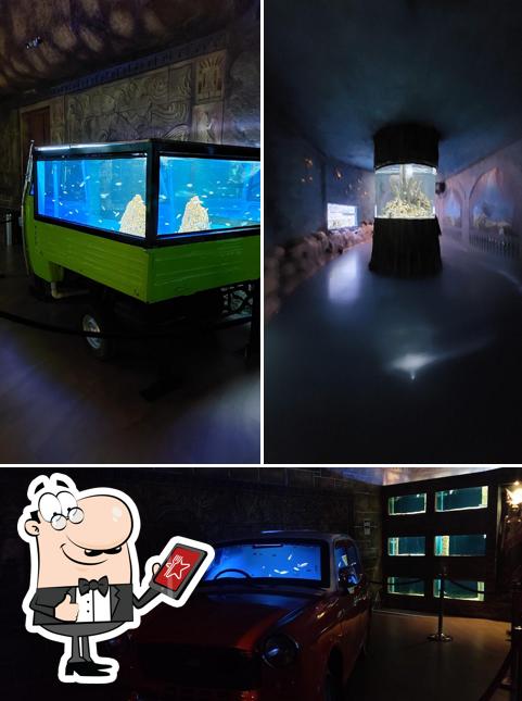 Marine World Mini Cafeteria