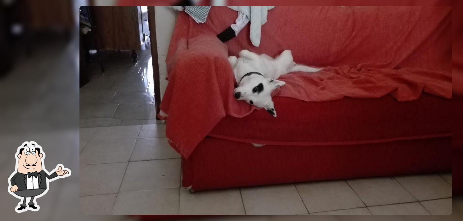 Gli interni di Bar Riflesso di Riflesso Andrea