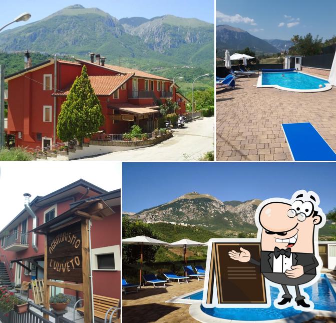 Agriturismo L'Uliveto