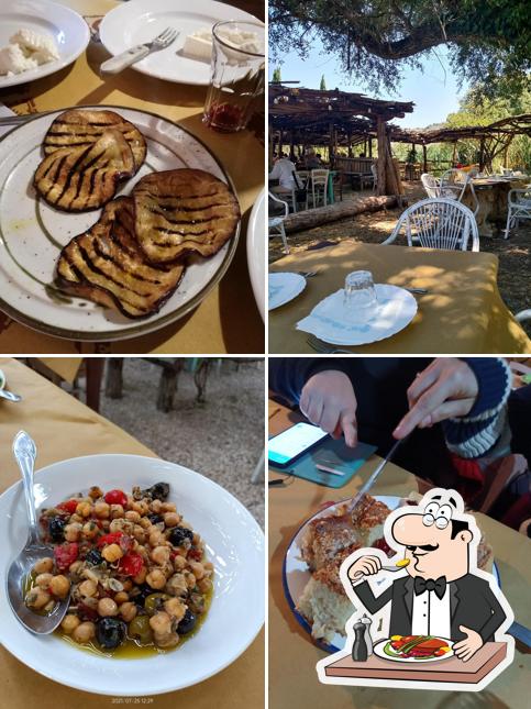 Cibo al Agriturismo Zucchegni