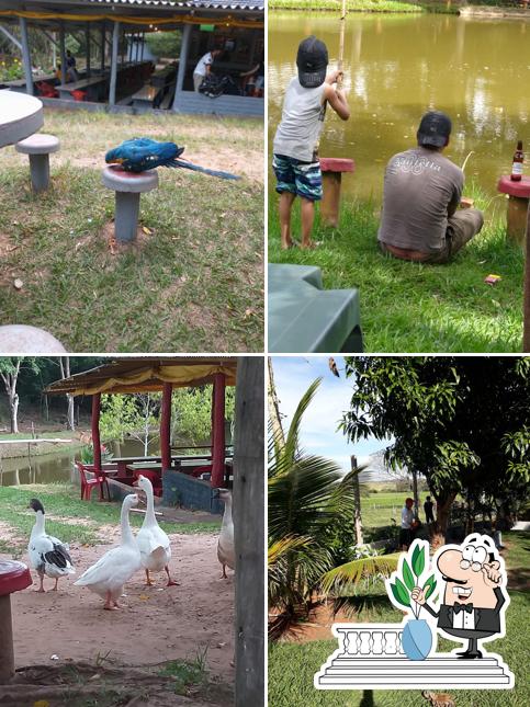 Pesqueiro Pantanal