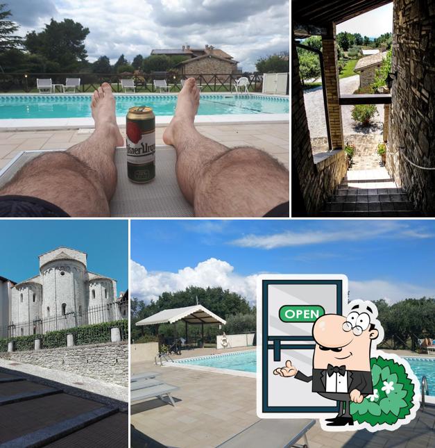 Curiosa tra gli esterni di Agriturismo Il Cicaleto Cannara