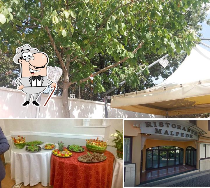 Questa è la immagine che raffigura la esterno e cibo di Ristorante Malpede