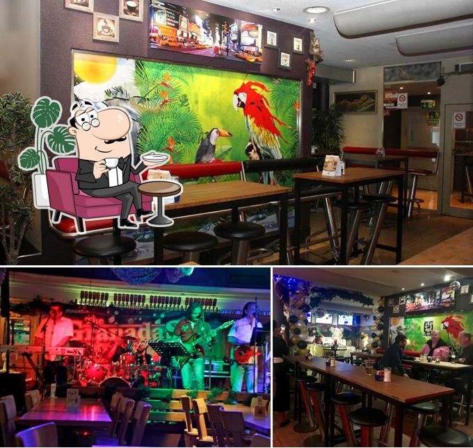 Dai un'occhiata agli interni di Amazonia Bar