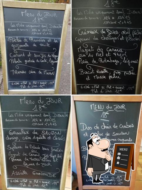Le Chat Qui Pêche