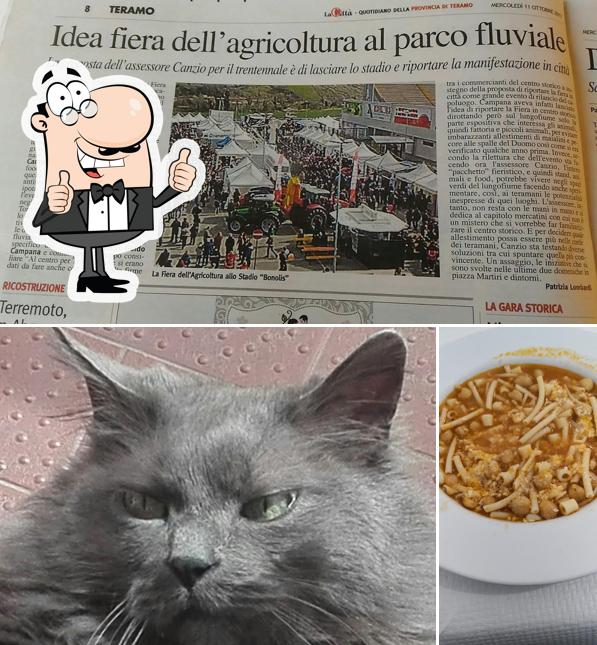 Guarda questa foto di Gran Caffè Lilla