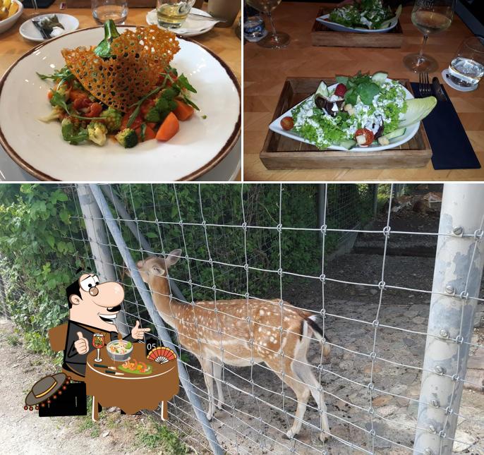 Platti al PARK Lange Erlen