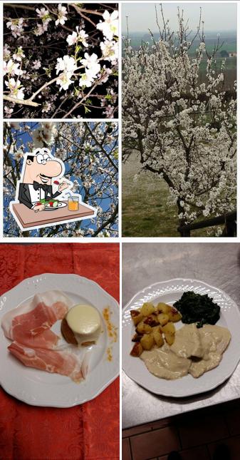 Cibo al Agriturismo Alla Fonte