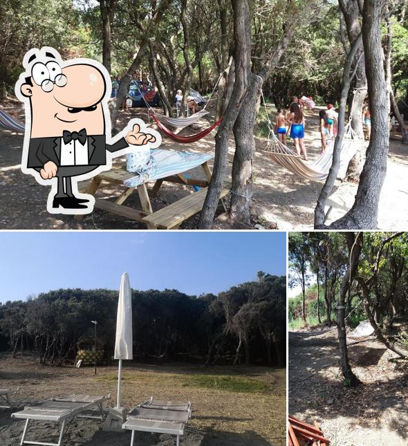 Gli interni di arancio beach bar