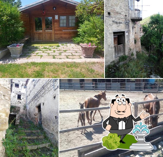 L'area esterna è una caratteristica importante di Agriturismo Antico Mulino