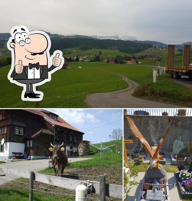 Waldegg Appenzell