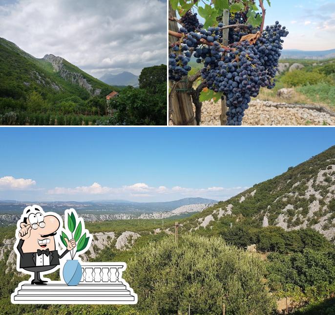 Guarda gli esterni di Konoba Tadici