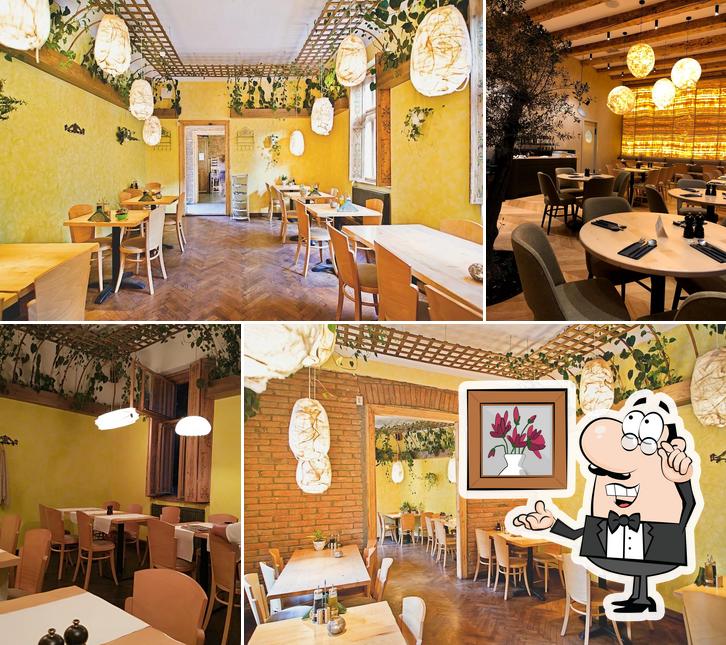 Samsara Foodhouse - Cluj restaurant plant-based
