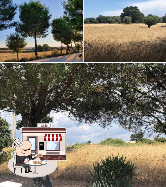 Goditi la vista dall'area esterna di Azienda agricola Masseria Battaglini