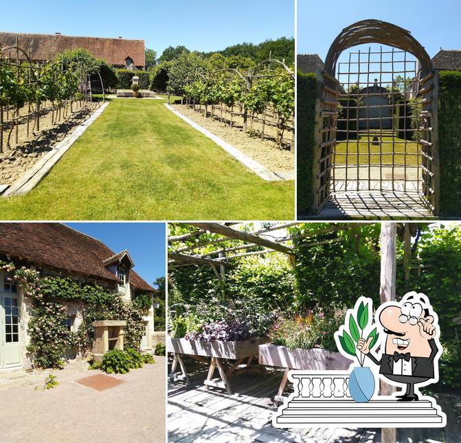 Domaine du Camelot