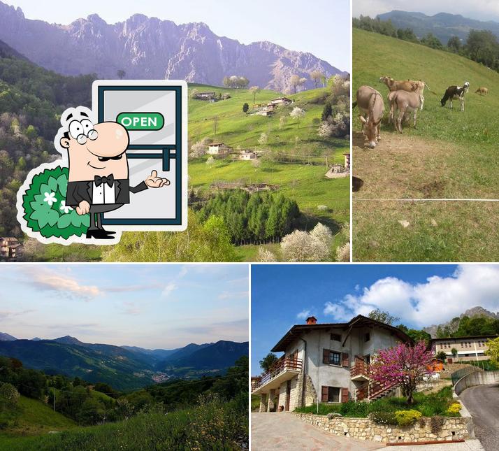 Gli esterni di Le More - Agriturismo