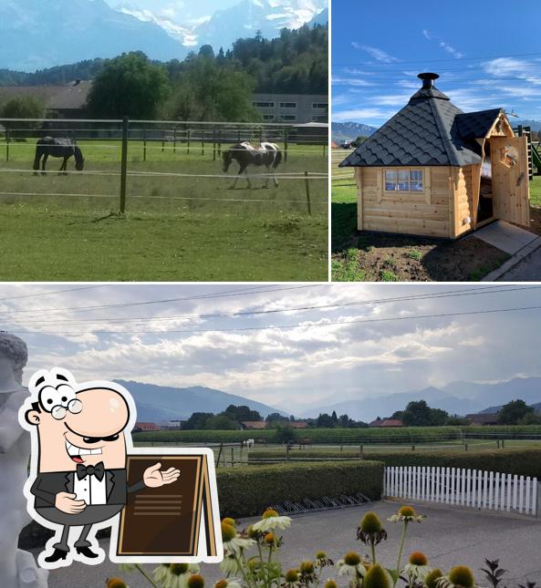 Gli esterni di Ristorante Cavallino