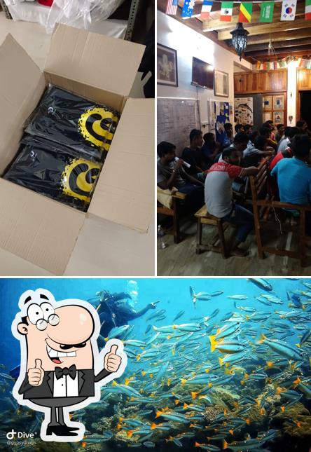 See the pic of Gypsy Divers Dive Resort