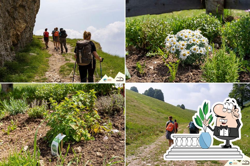 Puoi goderti l'aria fresca da seduto all'esterno di Baita Laghetto