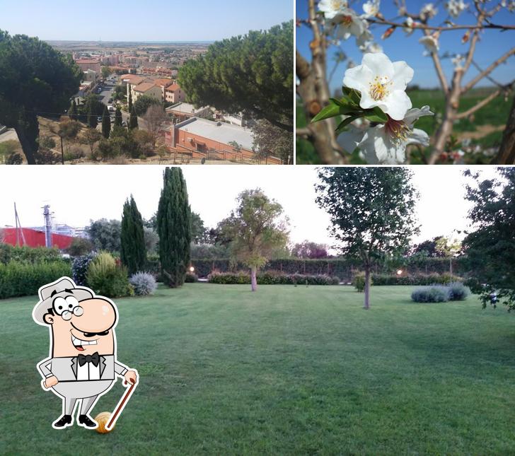 Puoi goderti l'aria fresca da seduto all'esterno di Agriturismo Il Mandoleto