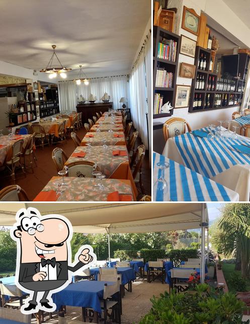 Ristorante Pizzeria "Dalmazia"