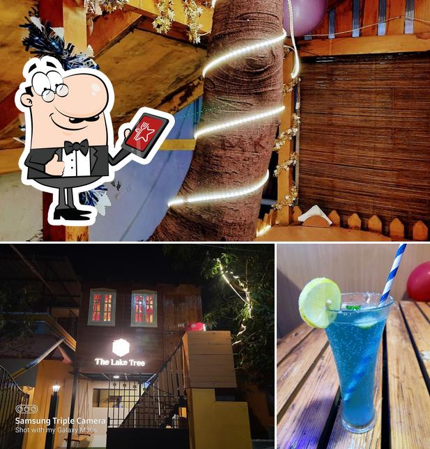 The picture of The Lake Tree’s exterior and beverage
