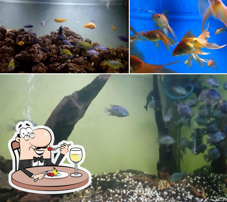 Food at deer park canteen