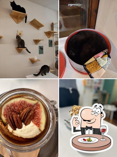 Platti al Gatizole Cat Cafè