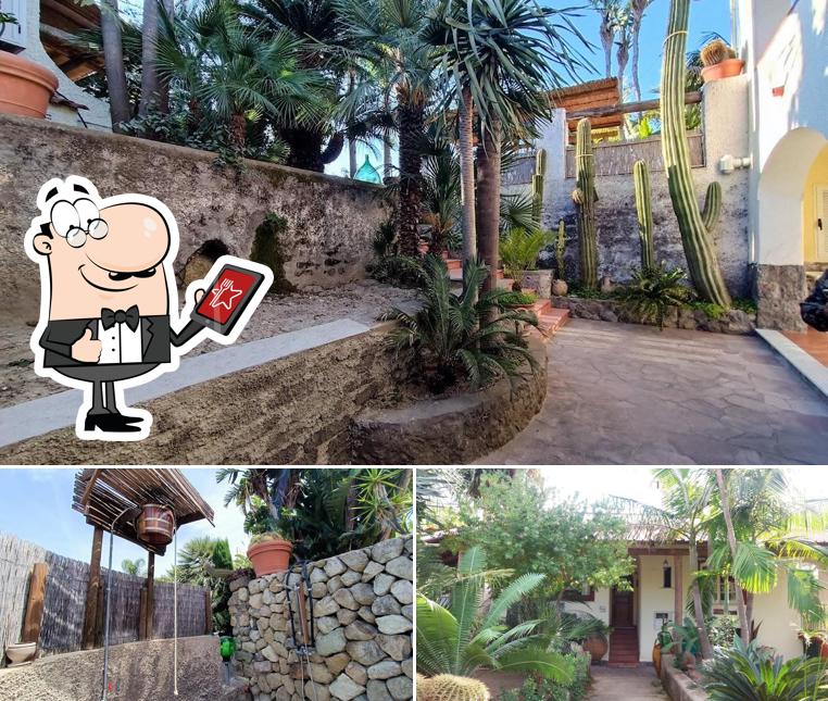 Guarda gli esterni di Villa Cristina Residence Ischia