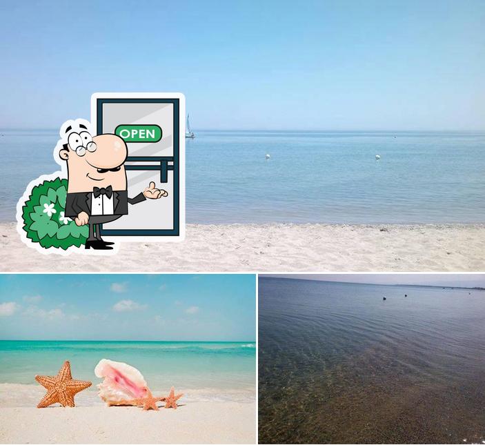 Tra le diverse cose da Bagamoyo Lido si possono trovare la esterno e frutti di mare