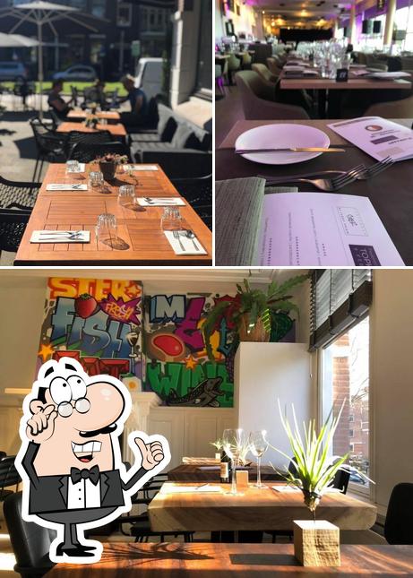 Gastrobar STER