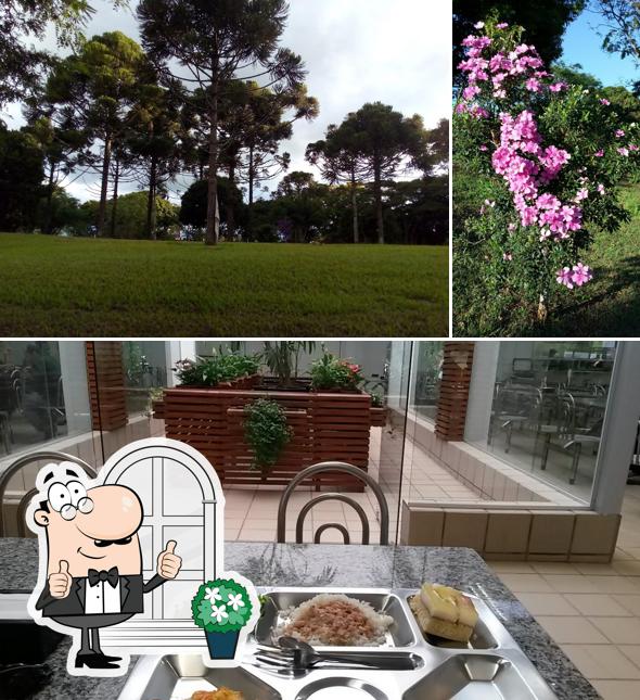Restaurante Universitário UEL