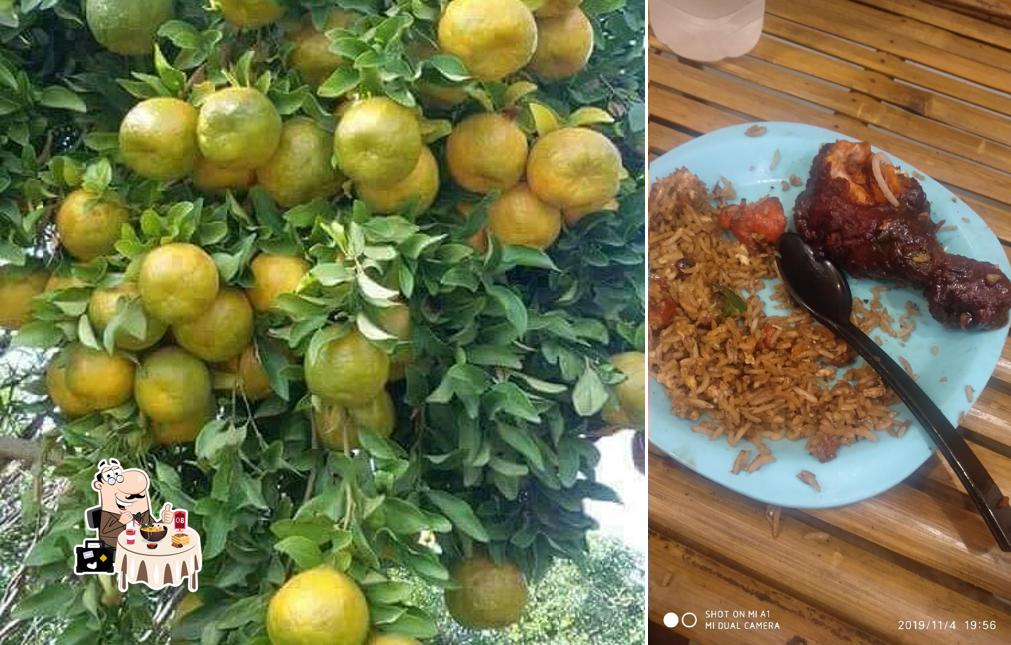 Meals at Hotel Avtar Bar & Restaurant