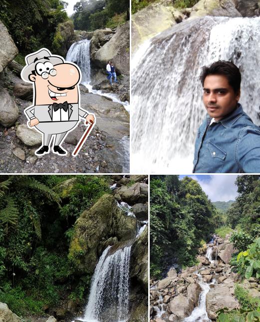 New Jharna Resturant