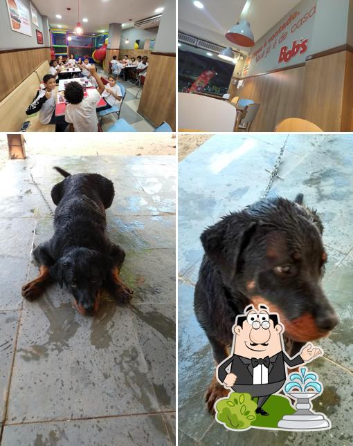 Bob's Burger - Saquarema