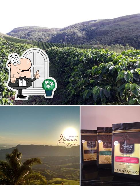 SERRA DE ILICÍNEA CAFÉ