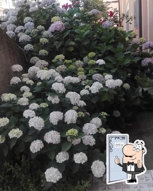 Guarda questa immagine di La Tana Del Diavolo