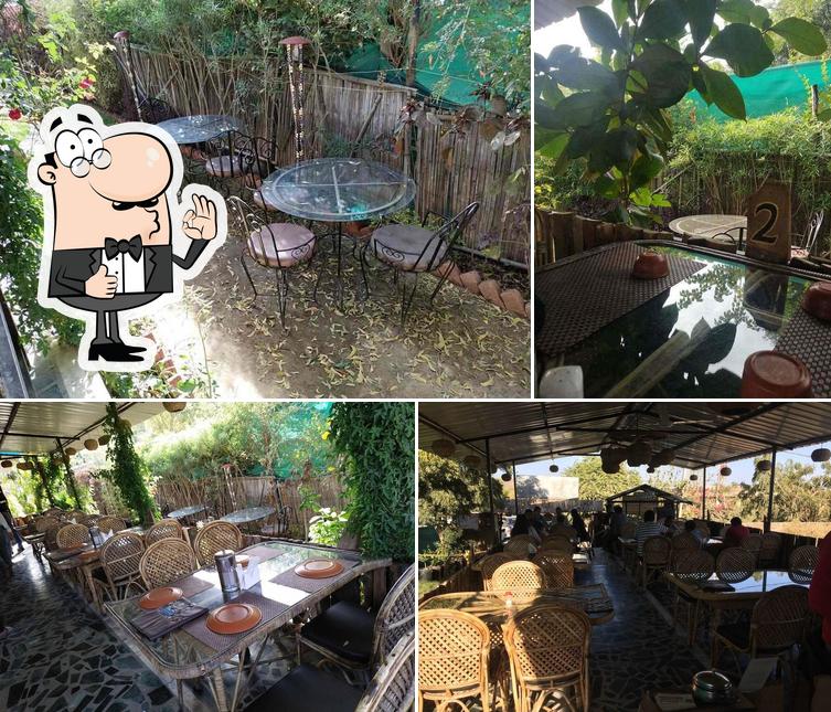 MEWAR FOODIES BEST PLACE TO EAT IN UDAIPUR INDIA'S SUPER HEALTHY ECO CONSCIOUS RESTAURANT