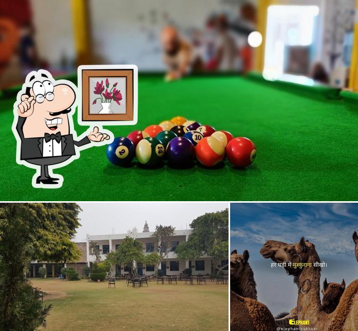 This is the image showing interior and food at Elephant Pushkar - Stay & Food