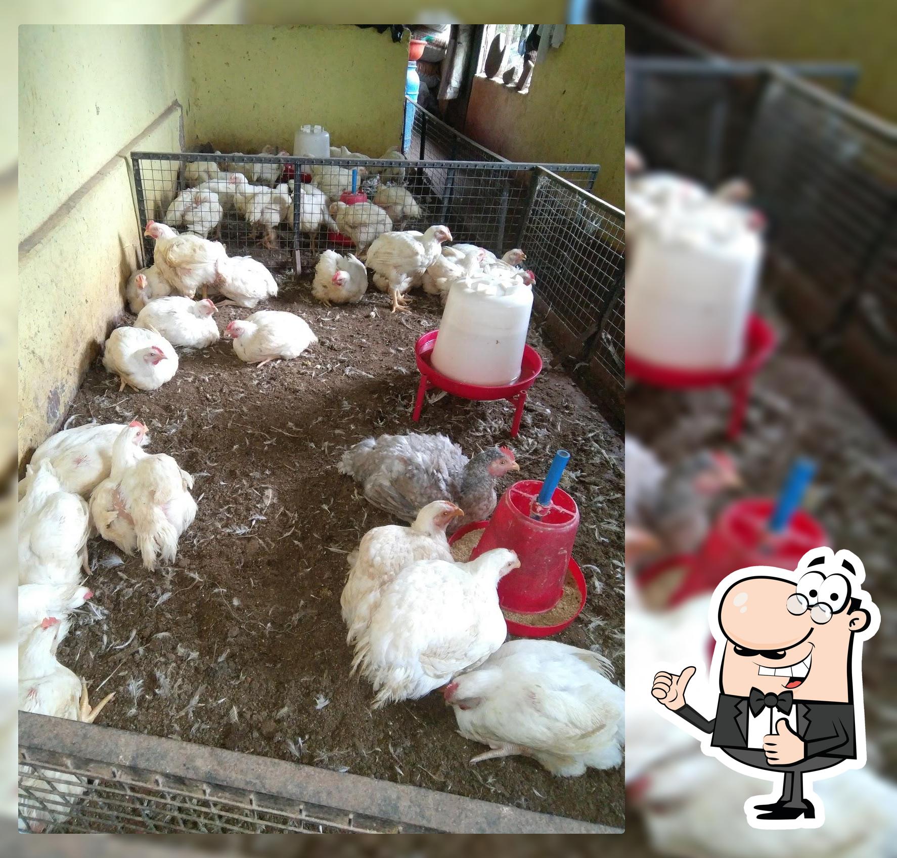 Ankit Chicken Centre