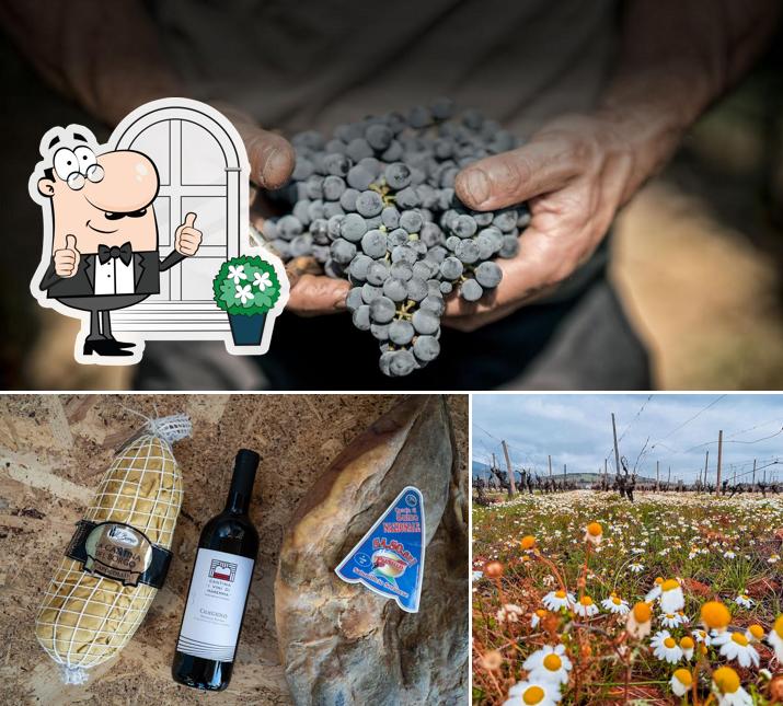 Gli esterni di Cantina I Vini Di Maremma
