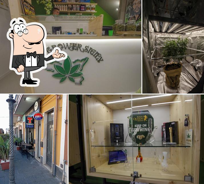 Dai un'occhiata agli interni di The Grower Sicily • Canapa Store