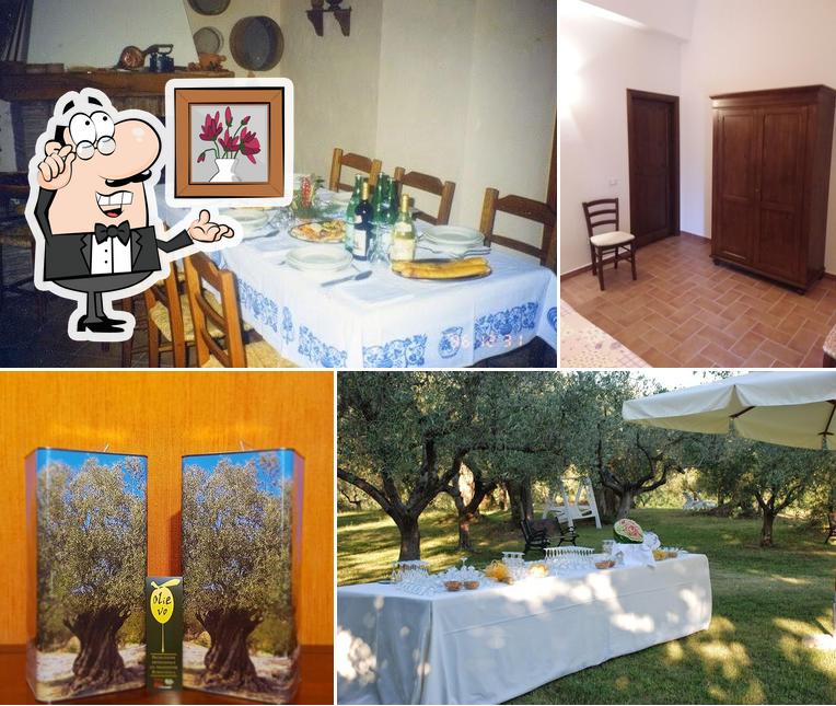 Agriturismo Il Vecchio Gelso